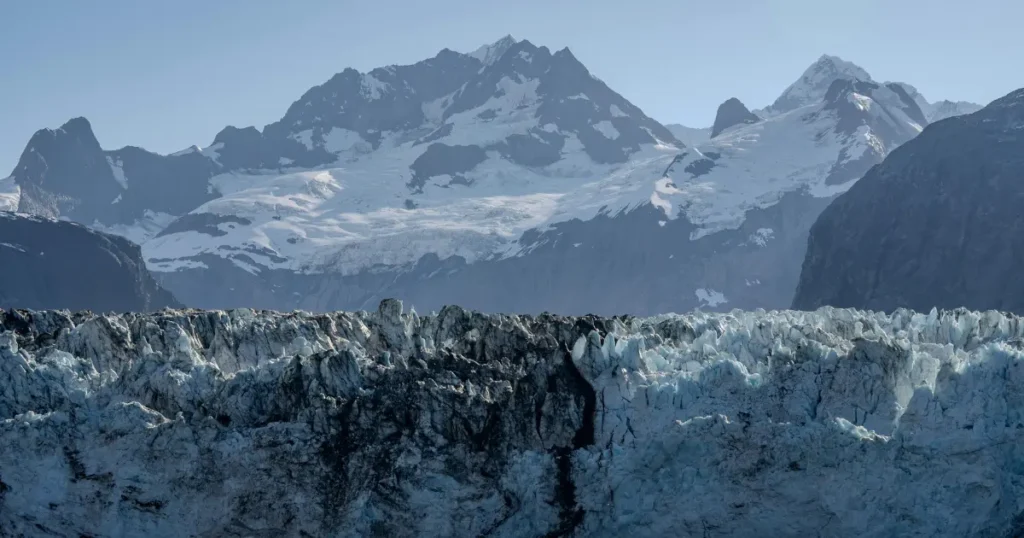 グリズリーとヒグマの違いは生息地にある