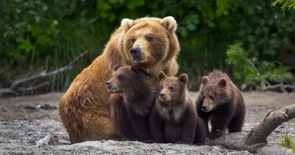逃げ場のない環境が育てた攻撃的なメンタル